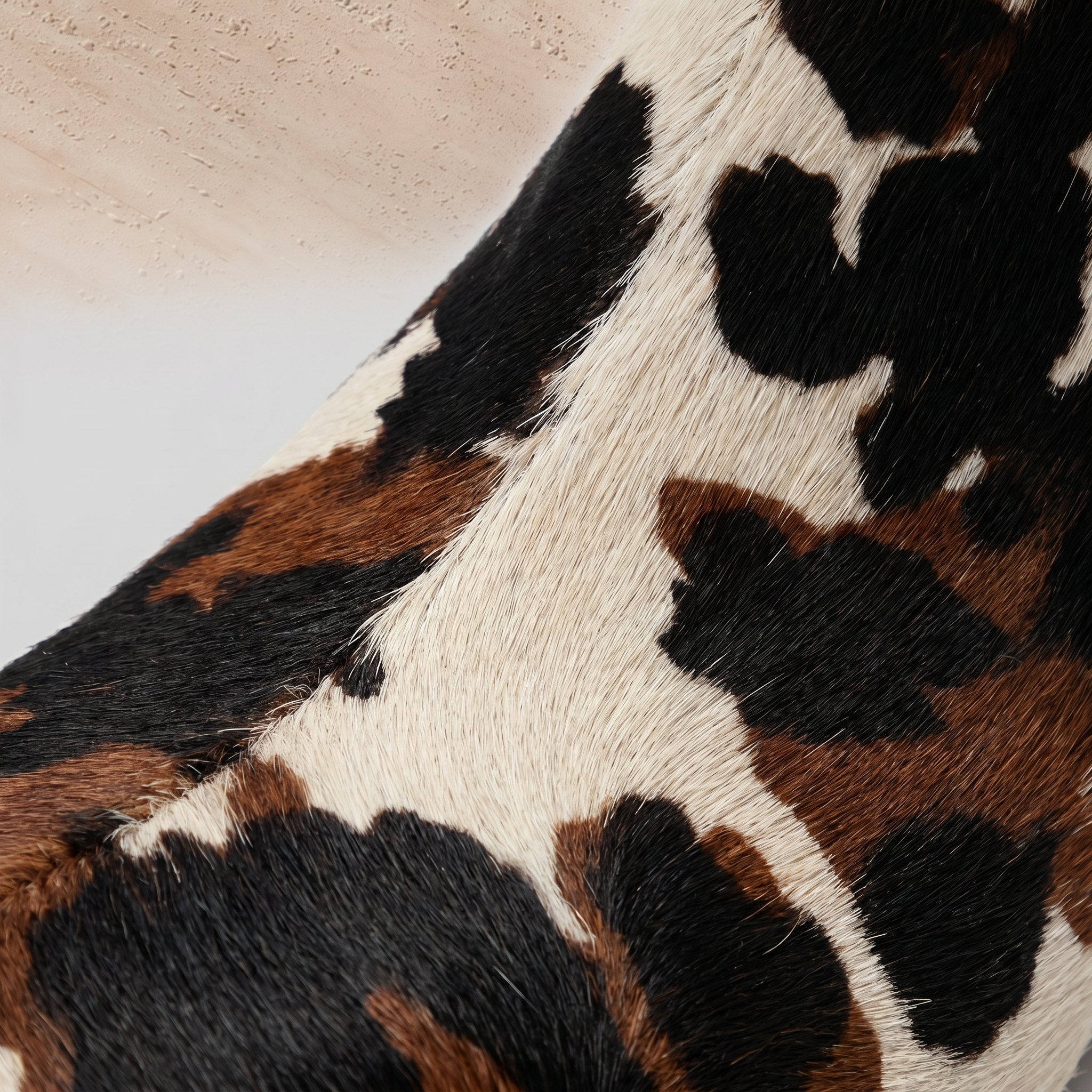 Anke | Sutton Calf Hair Ankle Boots